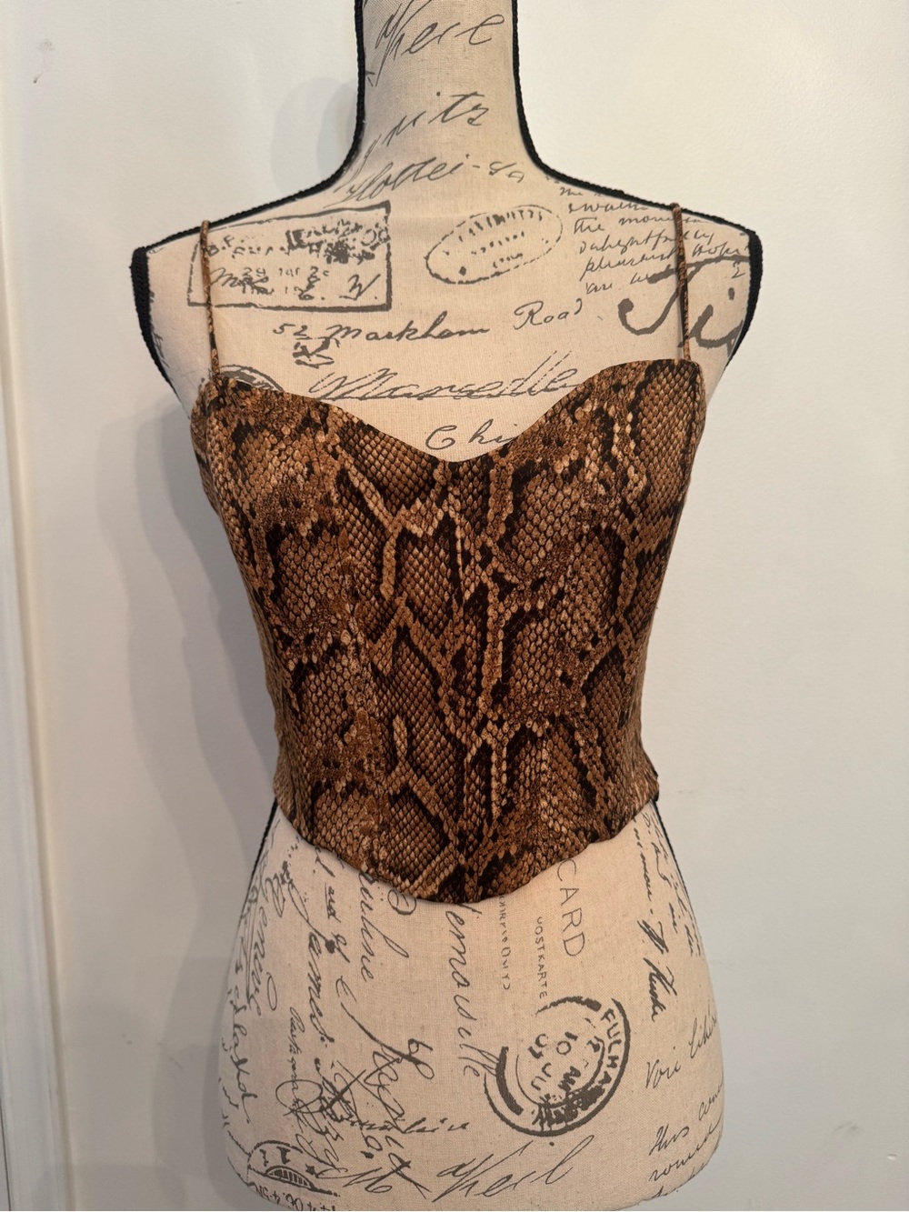 Snake Print Brown Reptile-Theme Crop Top